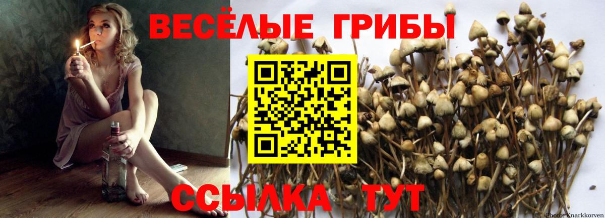 Галлюциногенные грибы Magic Shrooms  Вход с VPN  Зеленогорск 