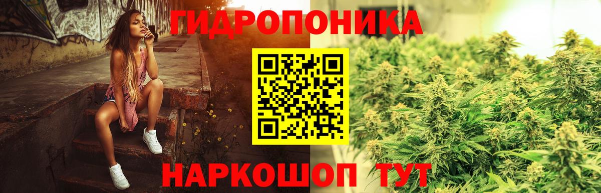 Бошки Шишки сатива  МАРИХУАНА индика  Бошки Шишки индика  Зеленогорск  Вход с VPN 